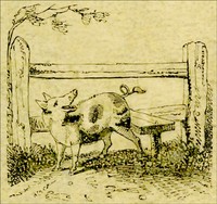 The Remarkable Adventures of an Old Woman and Her Pig An Ancient Tale in a Modern Dress
